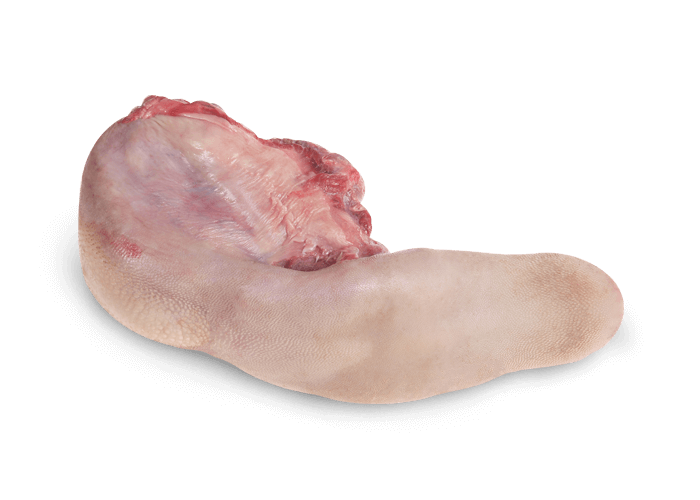 LANGUES DE BOEUF